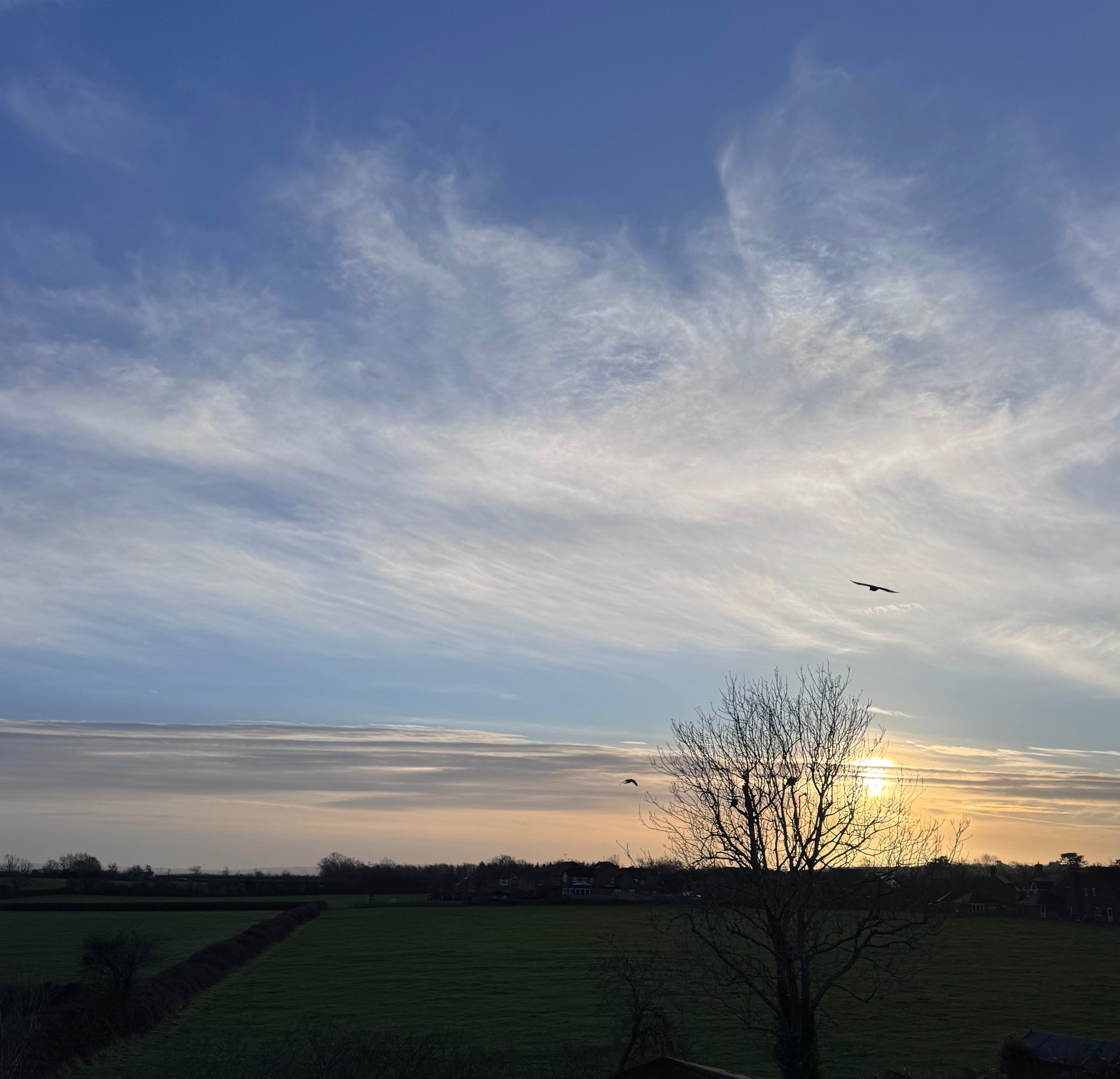 Mindful Monday: New Year, Same Brand